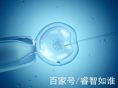 中国供卵代孕中心